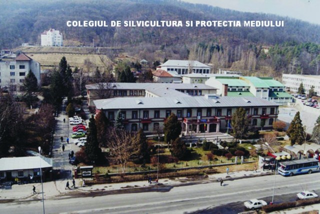 6.02.2019 Colegiul de Silvicultură