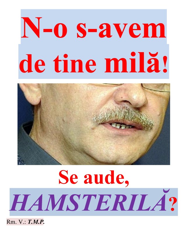20.05.2019 Dragnea_1