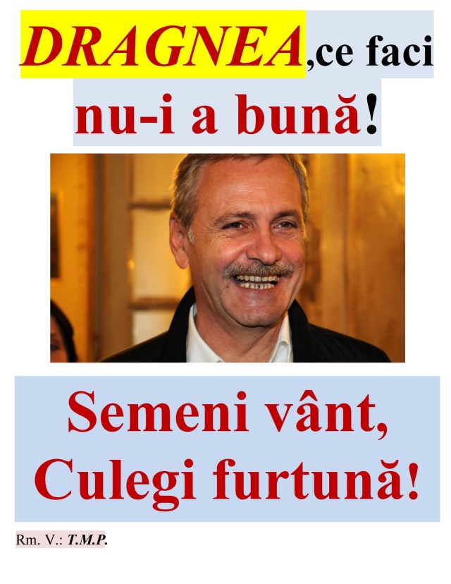 20.05.2019 Dragnea_5