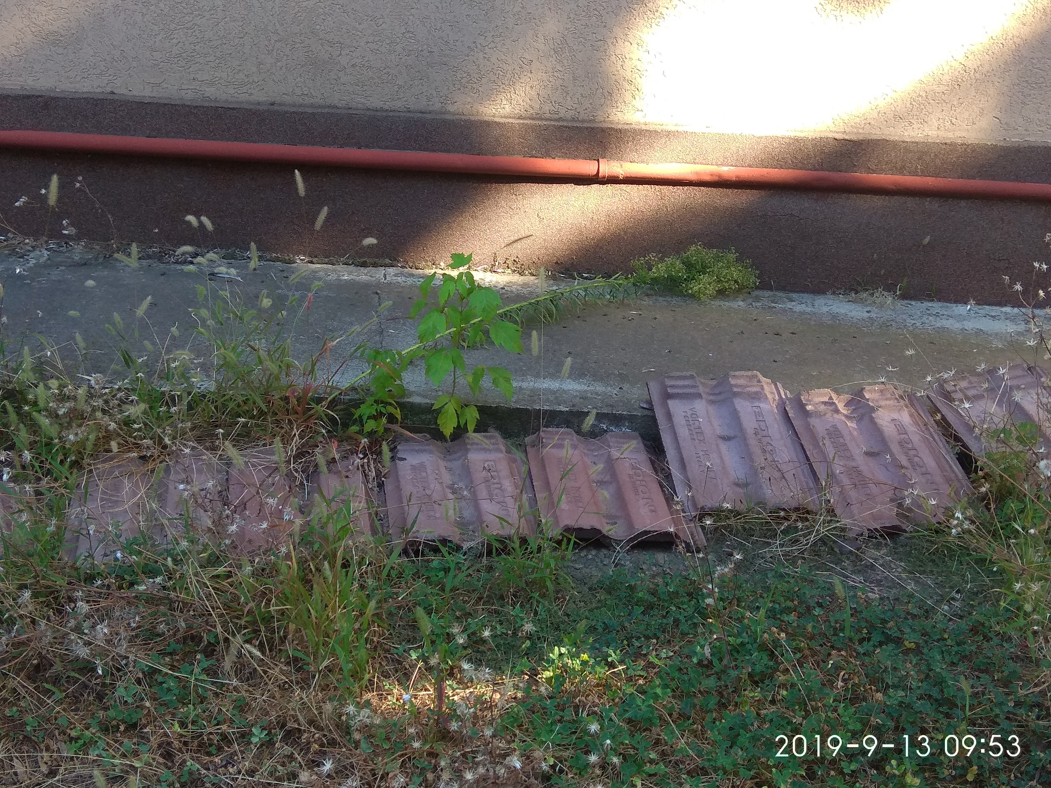 02.10.2019 LT Oltchim21