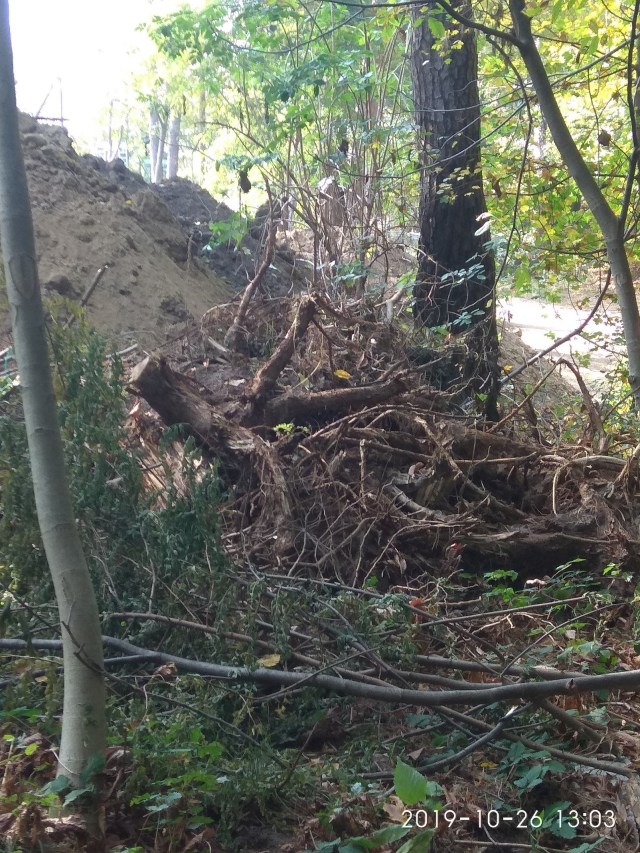 03.02.2020 CAPELA_10