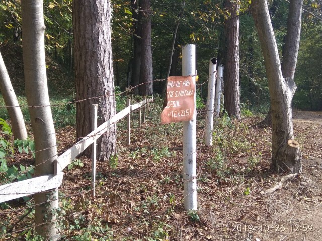 03.02.2020 CAPELA_18