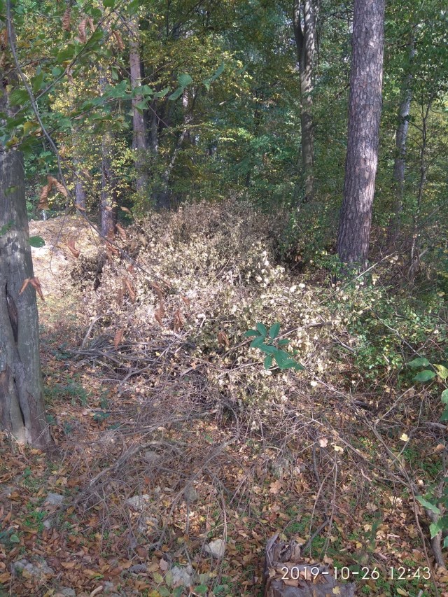 03.02.2020 CAPELA_29