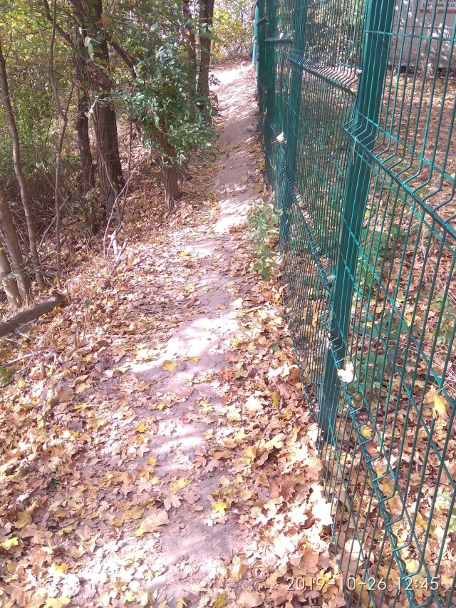 03.02.2020 CAPELA_31