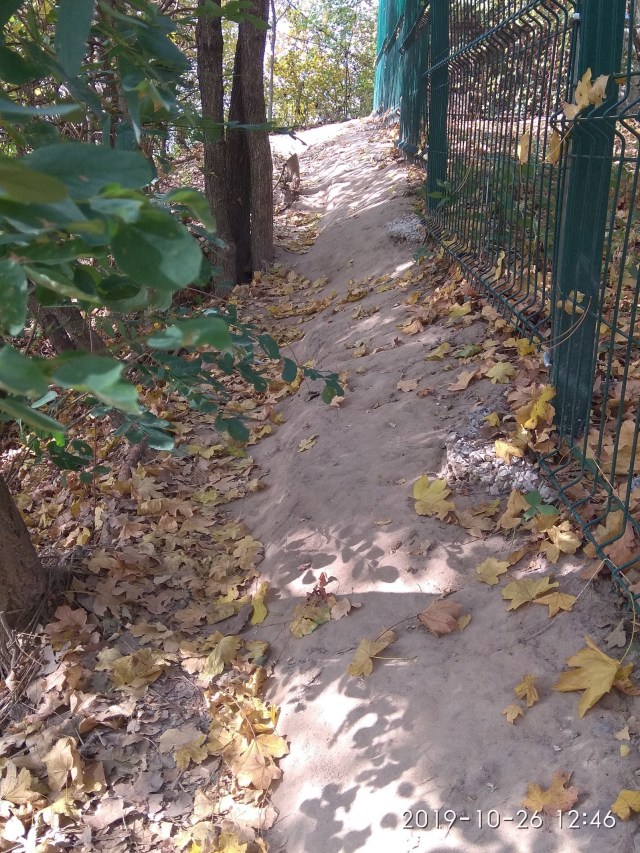 03.02.2020 CAPELA_32