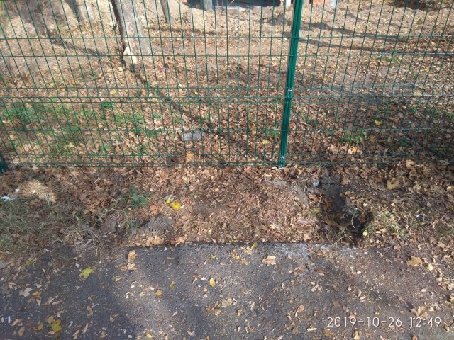 03.02.2020 CAPELA_35