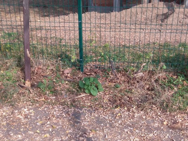 03.02.2020 CAPELA_37