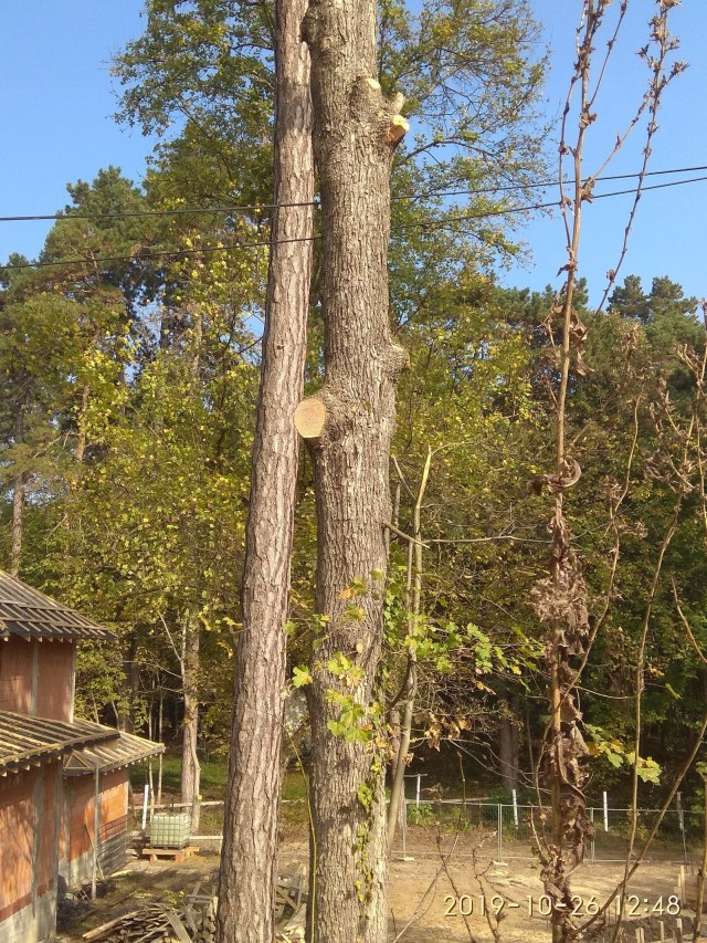 03.02.2020 CAPELA_51