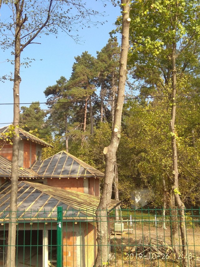 03.02.2020 CAPELA_52