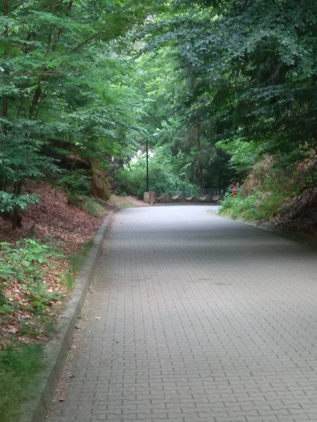 16.07.2020 Olanesti25