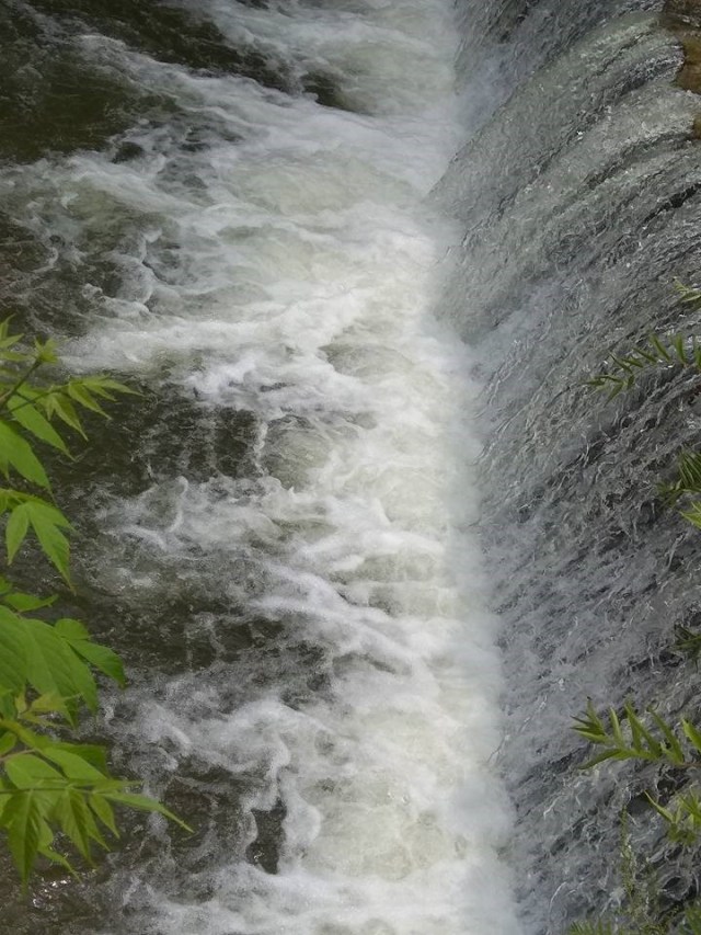 16.07.2020 Olanesti28