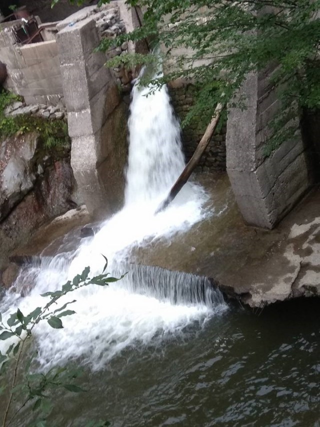 16.07.2020 Olanesti31