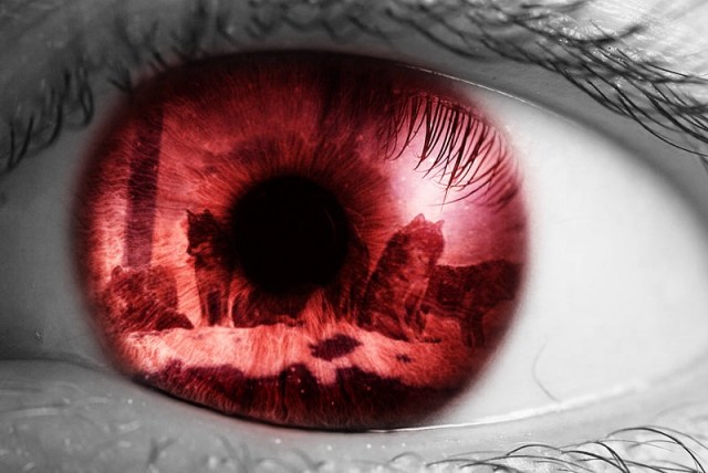 Tweaking the epigenome may erase a haunting fear — Neurofantastic