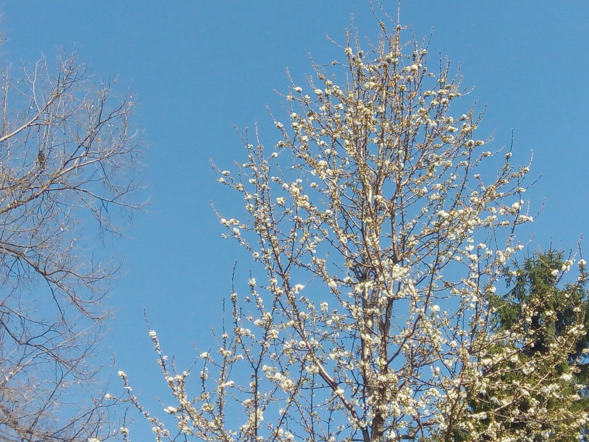 22.04.2021 LTO18 Primavara