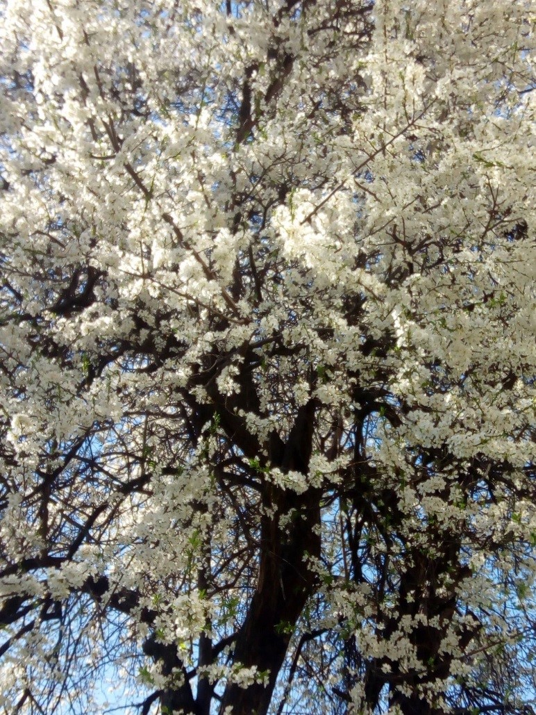 22.04.2021 LTO19 Primavara