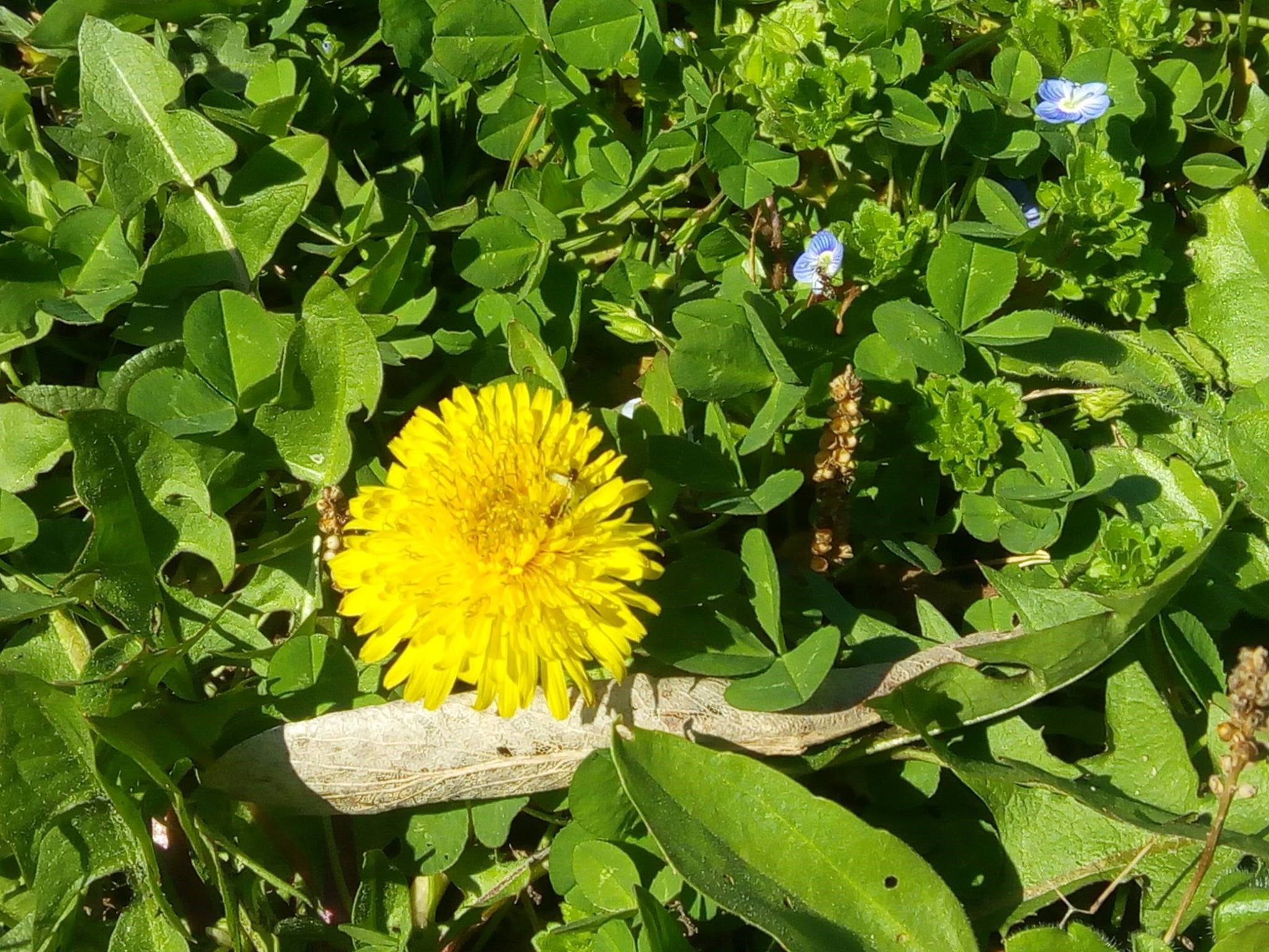 22.04.2021 LTO23 Primavara