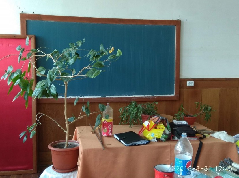 05.05.2021 Foto32 2018