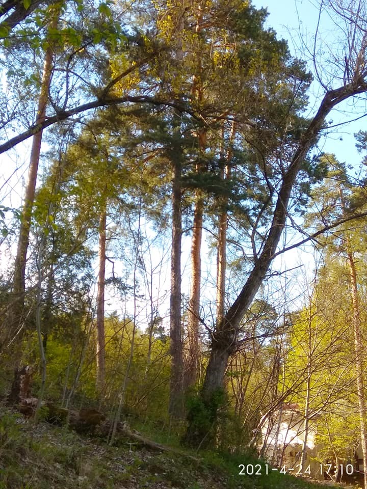 31.05.2021 Motel Capela21