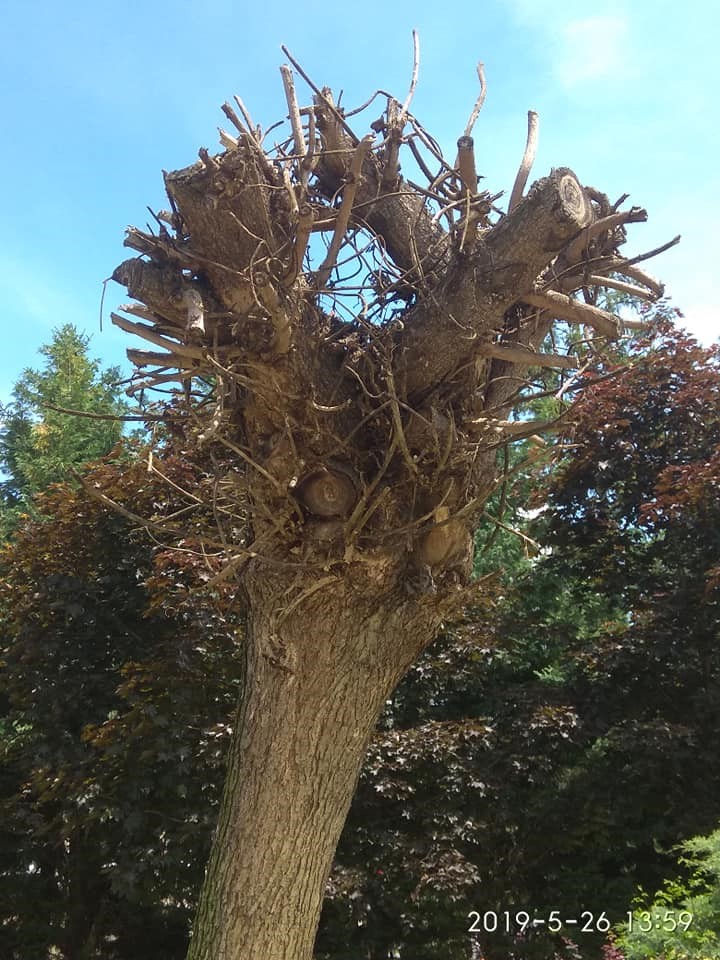 08.06.2021 PARC sindicate10