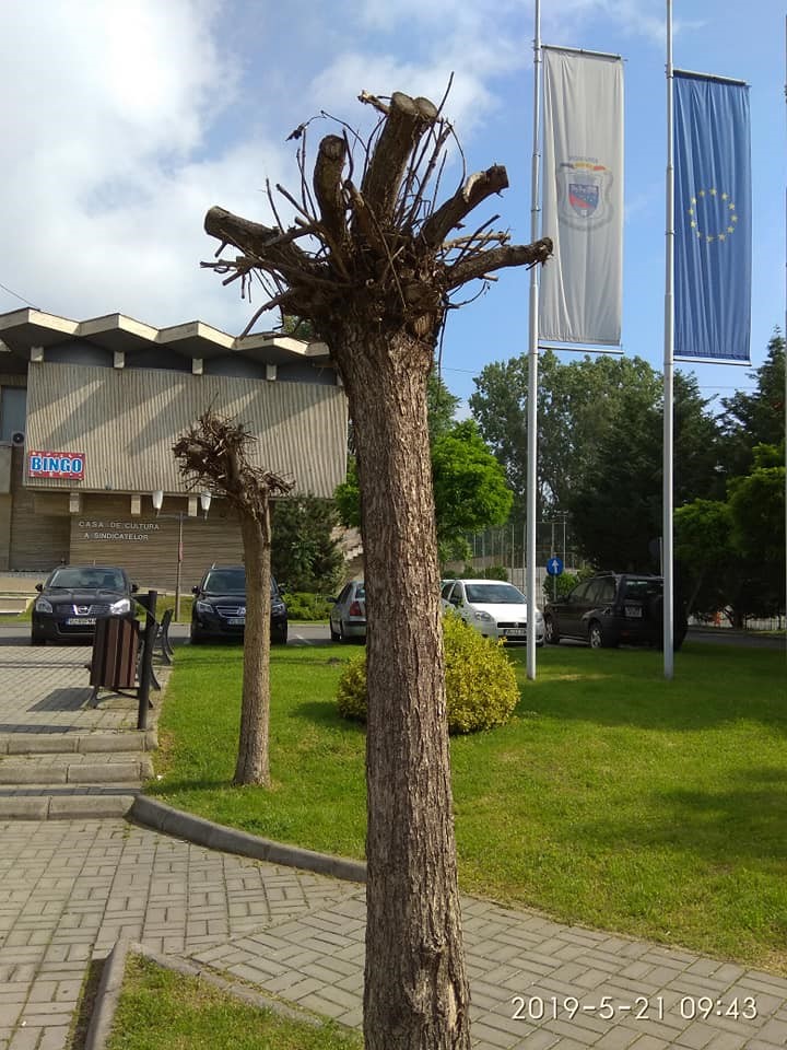 08.06.2021 PARC sindicate7