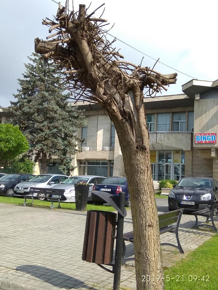 08.06.2021 PARC sindicate8