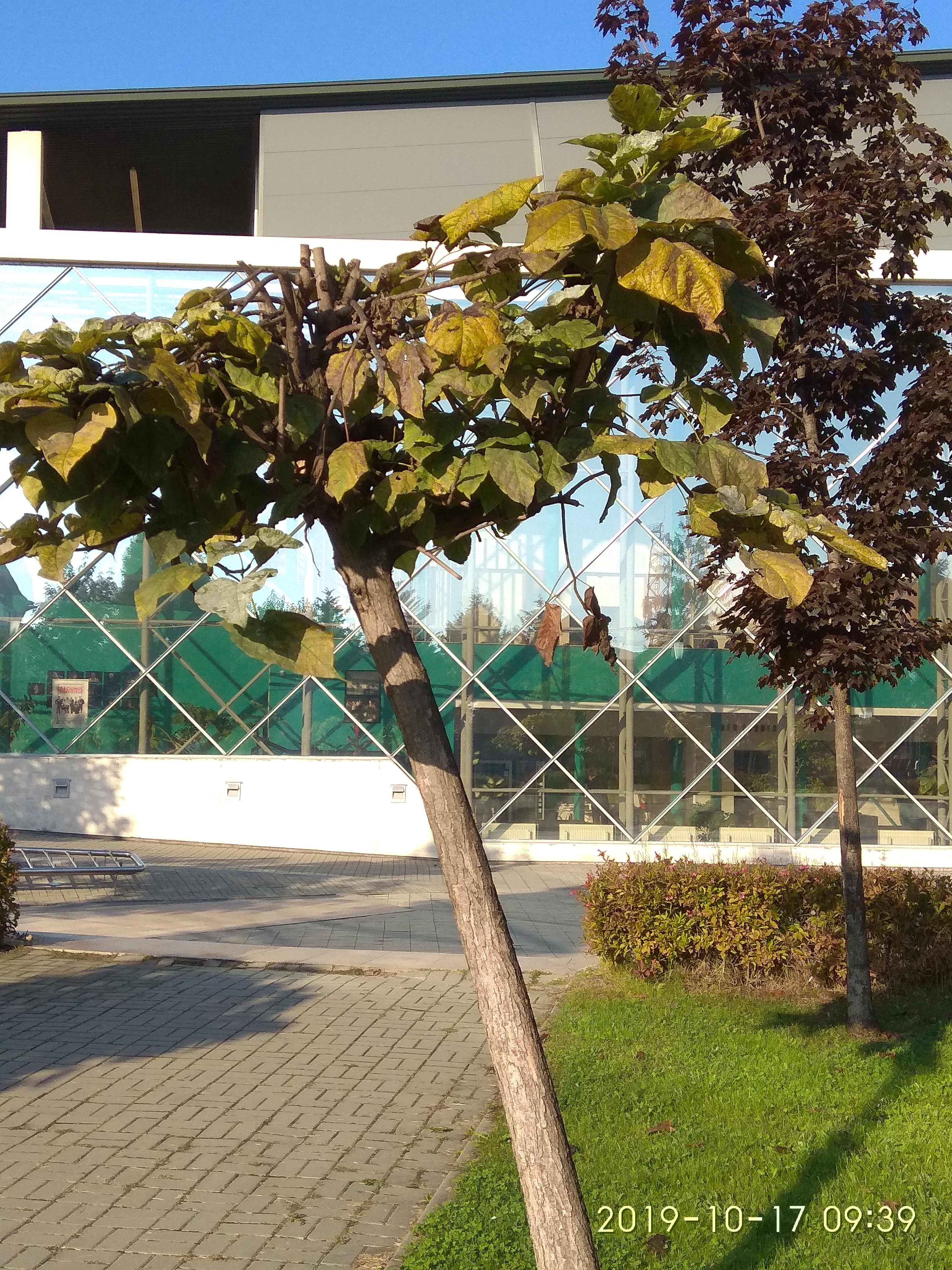 09.06.2021 PARC sindicate3