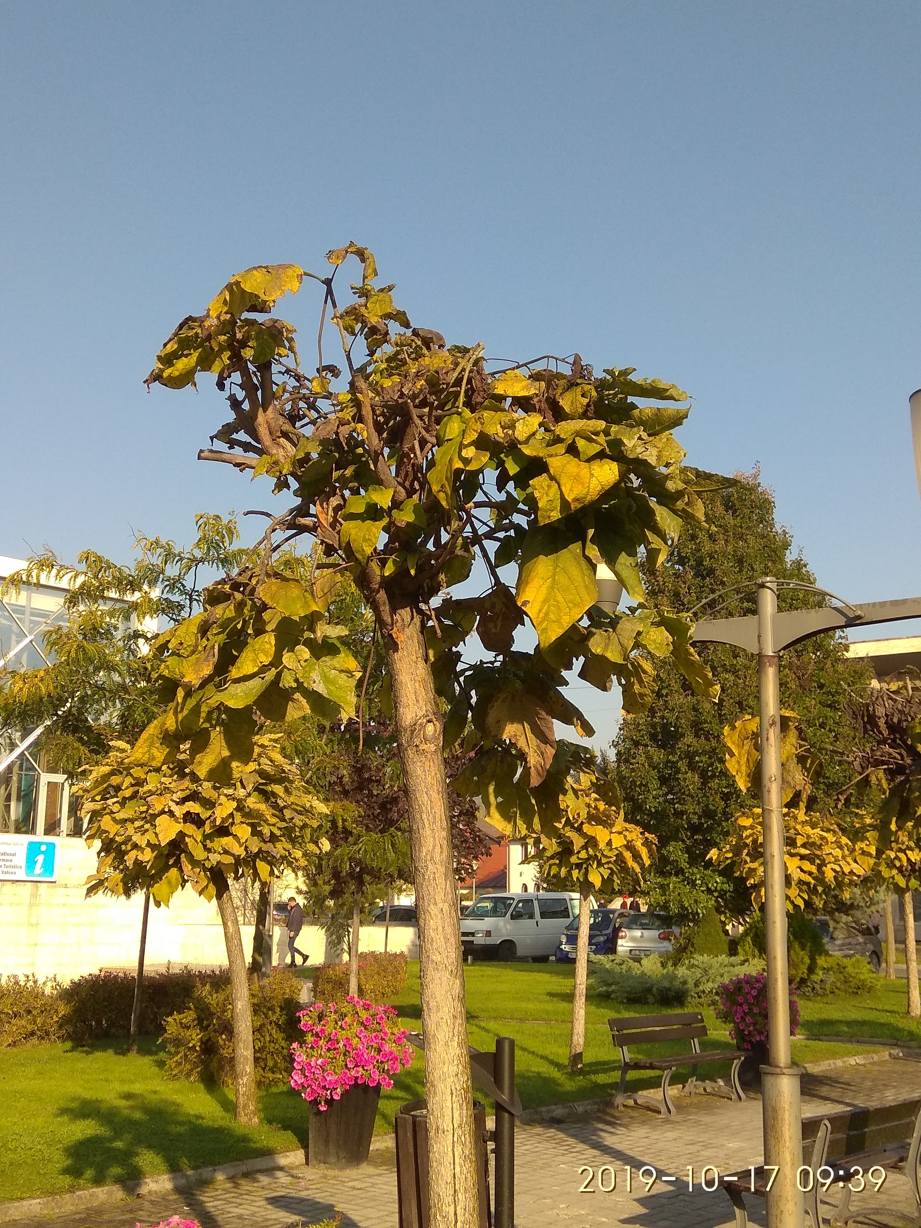 09.06.2021 PARC sindicate4