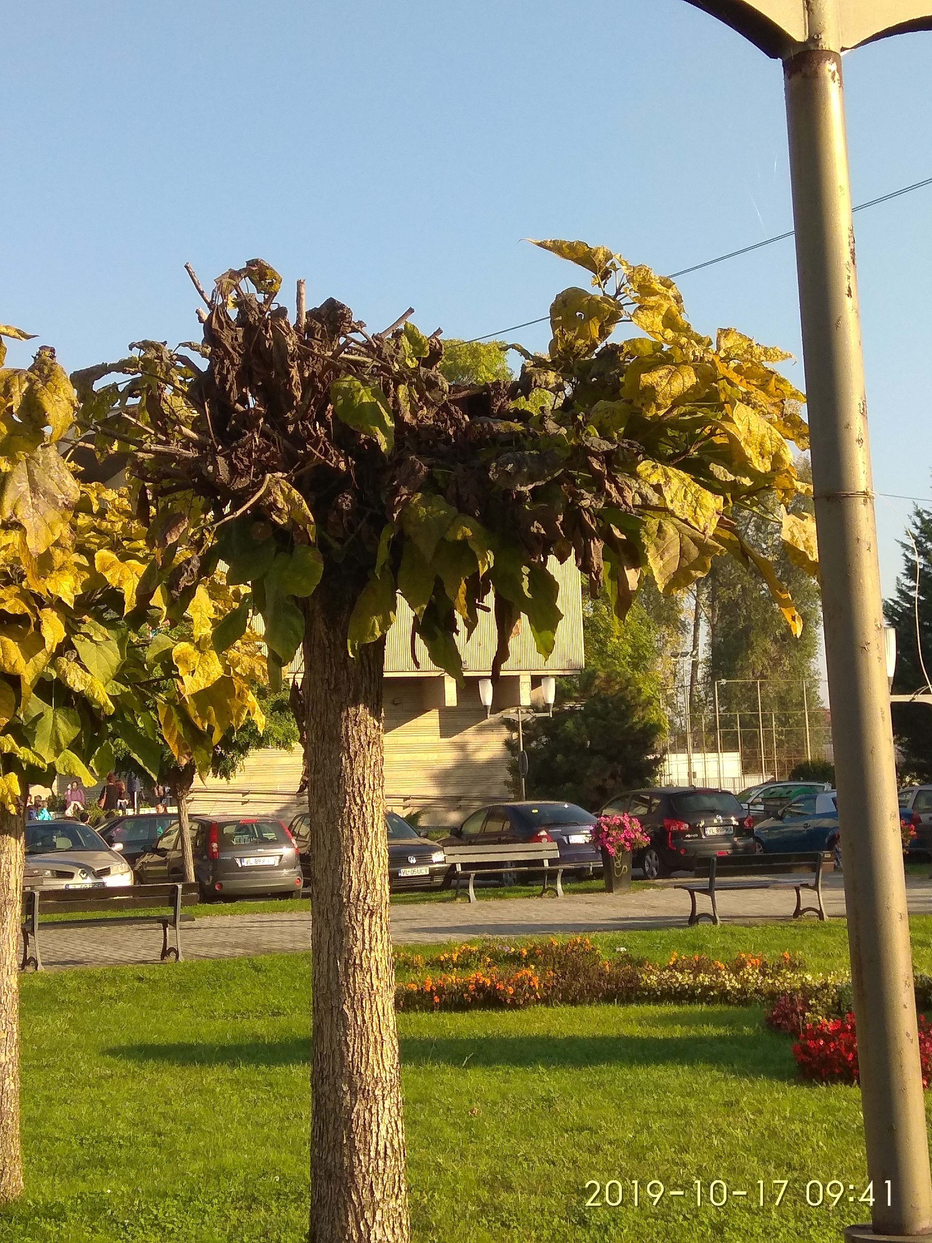 09.06.2021 PARC sindicate8