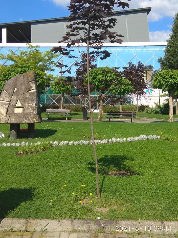 10.06.2021 PARC sindicate5