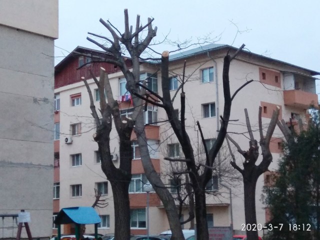 22.06.2021 zona NORD tei1