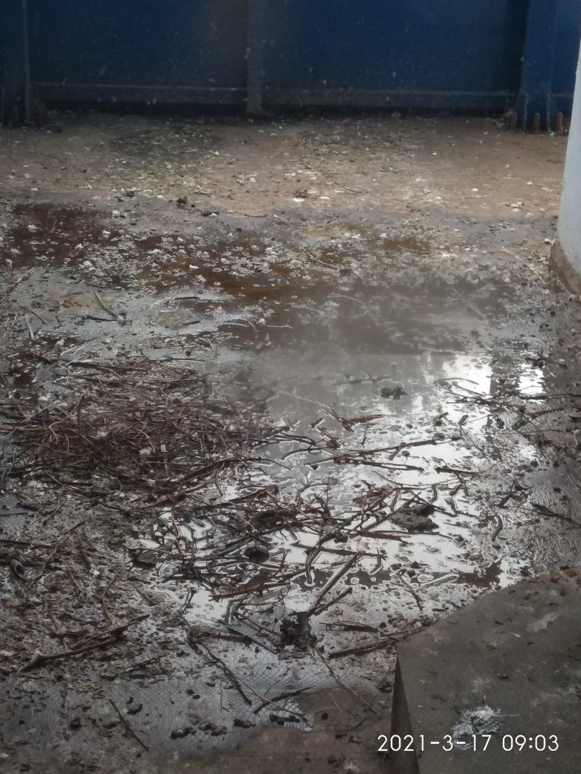 13.07.2021 pasarela4