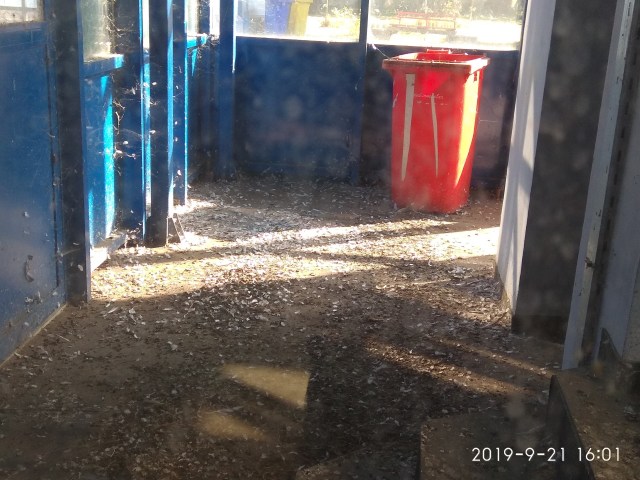 29.07.2021 pasarela15