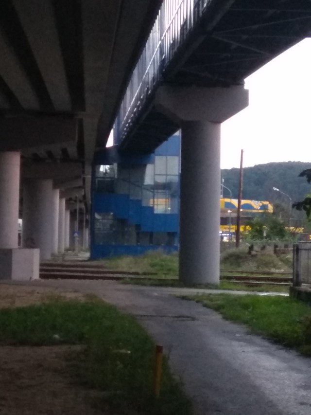 29.07.2021 pasarela2