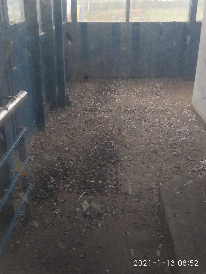 01.08.2021 pasarela18