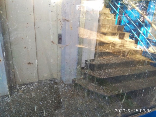 01.08.2021 pasarela2