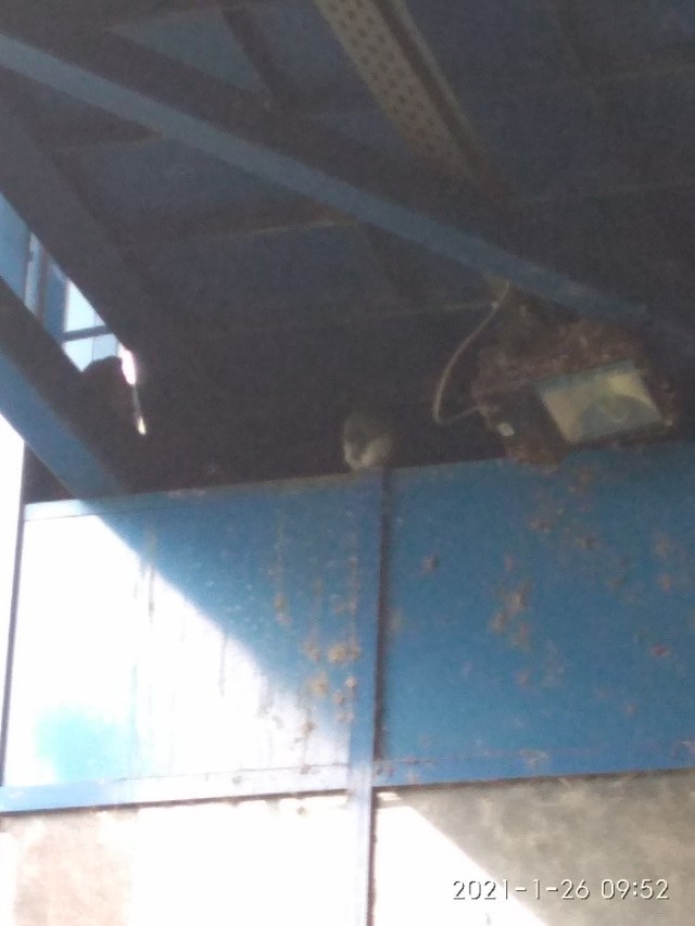 01.08.2021 pasarela23