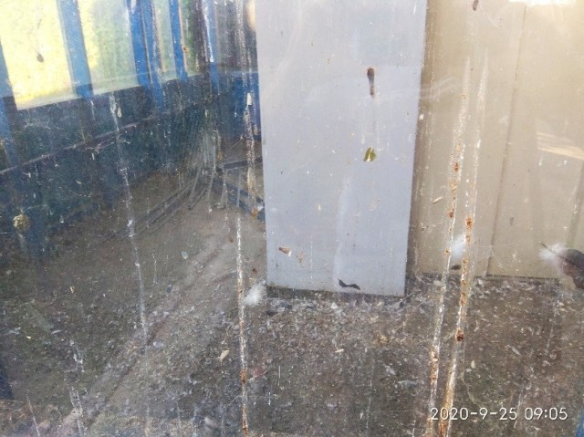 01.08.2021 pasarela3