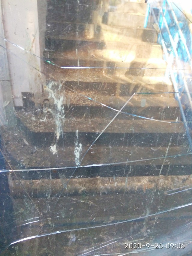 01.08.2021 pasarela5