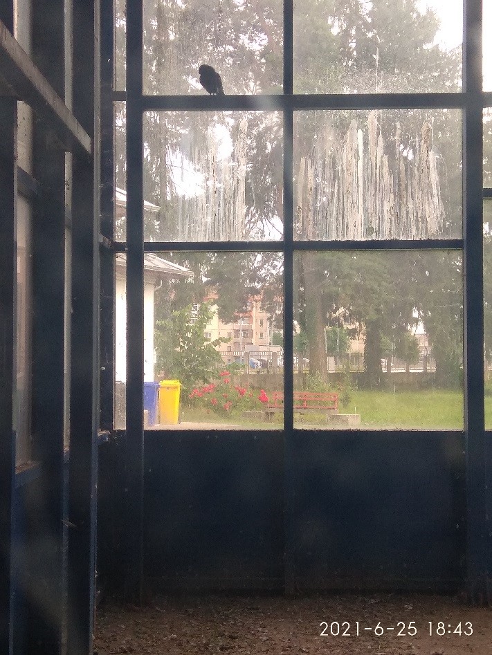 02.08.2021 pasarela23