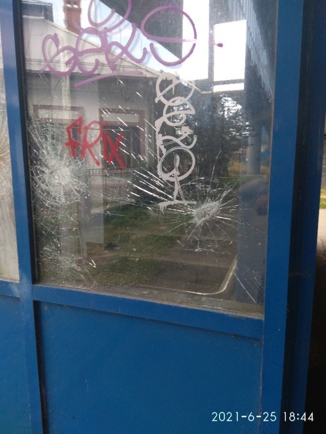 02.08.2021 pasarela25