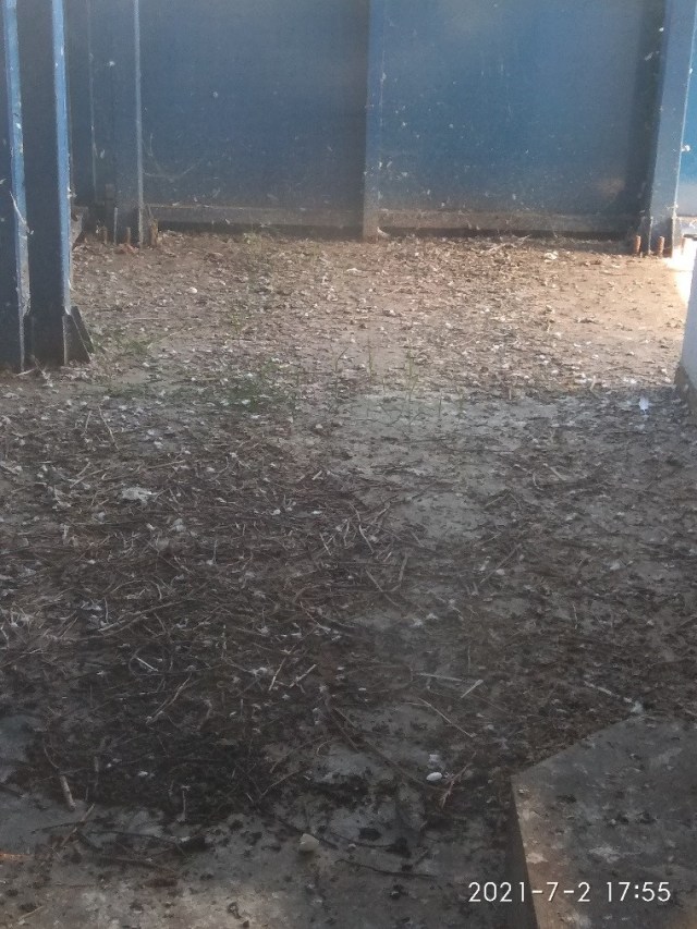 02.08.2021 pasarela33