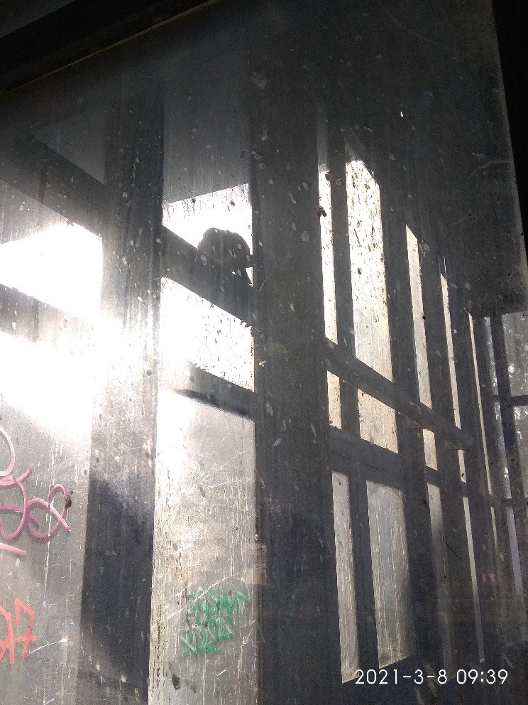 02.08.2021 pasarela5