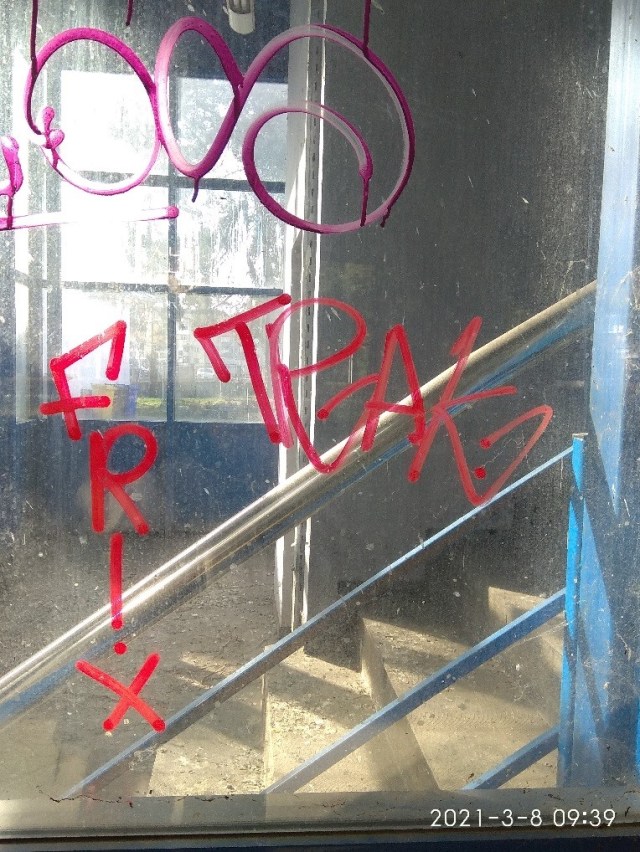 02.08.2021 pasarela6