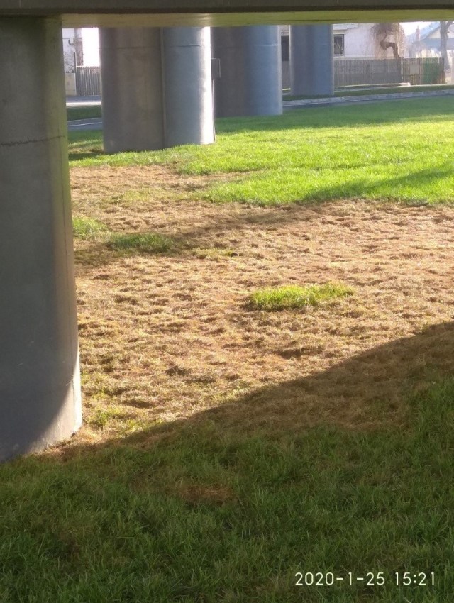 19.08.2021 bretele15