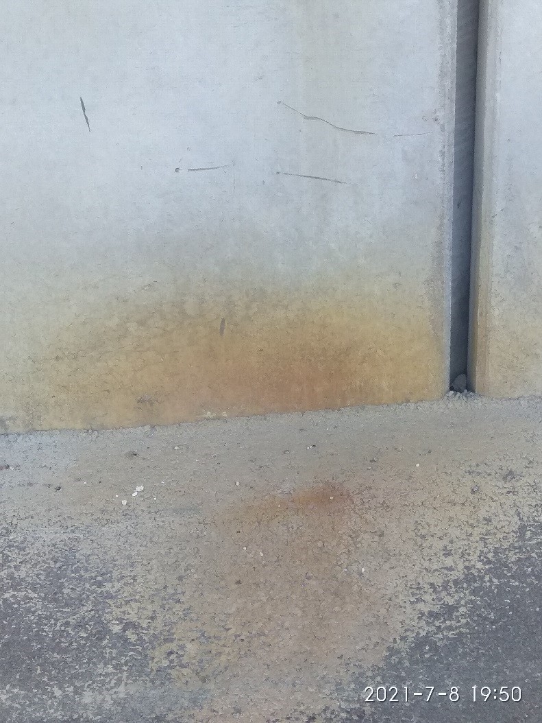 06.09.2021 bretele31