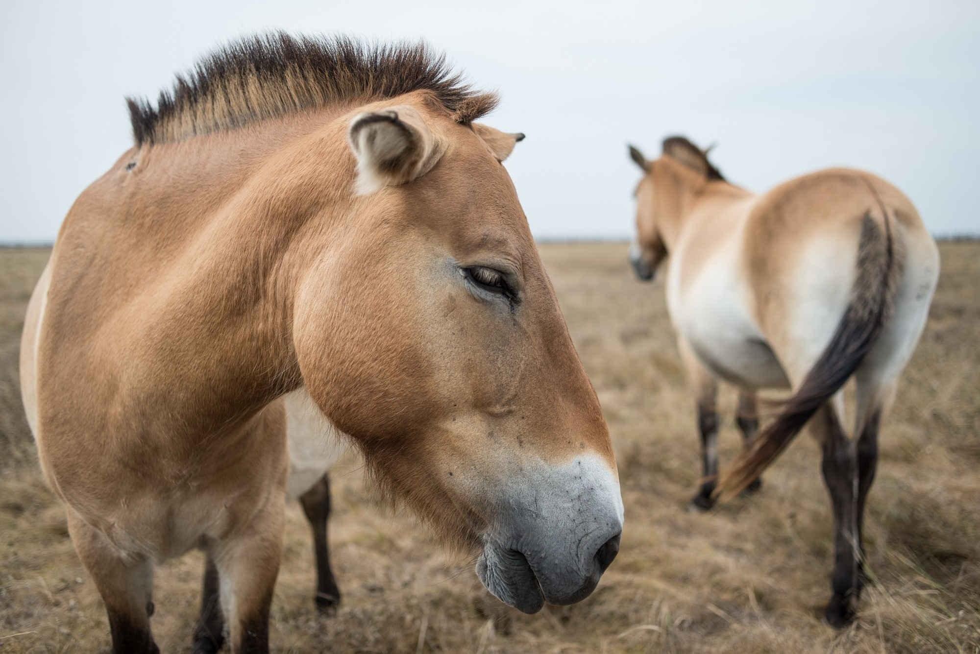 13.07.2022 ucraina11