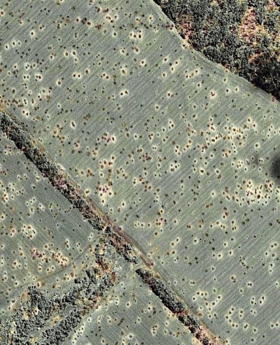 13.07.2022 ucraina21