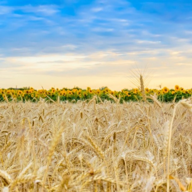 18.08.2022 ucraina16