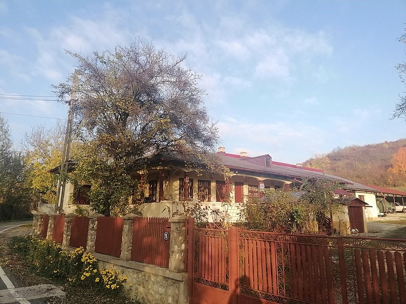 31.10.2022 ION PILLAT CASA